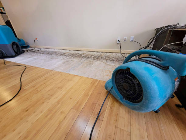 Reliable Basement Flood Cleanup contractor in La Ward, TX by Hirex Water Damage
