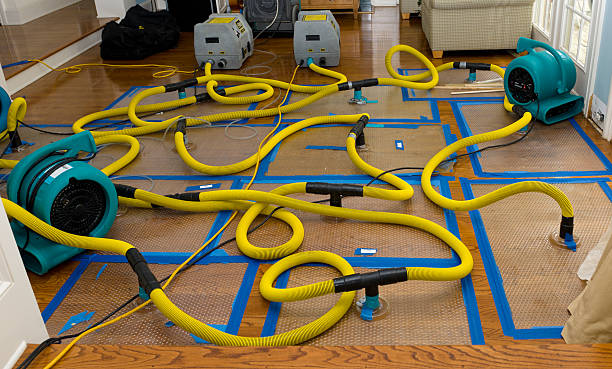 Professional Basement Flood Cleanup technician working in La Ward, TX