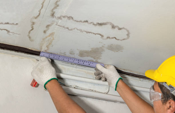 Affordable Water Damage Repair solutions in La Ward, TX